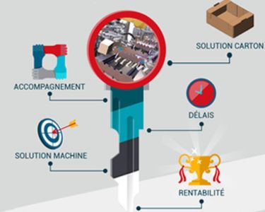 Automated case packing