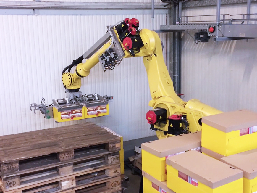 Automatic depalletiser case take