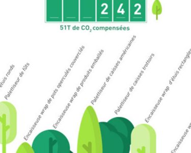 JYGA carbon offsetting - 2020