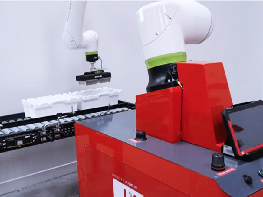 Cobot case packer versatile