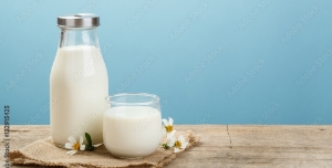 Dairy Packaging