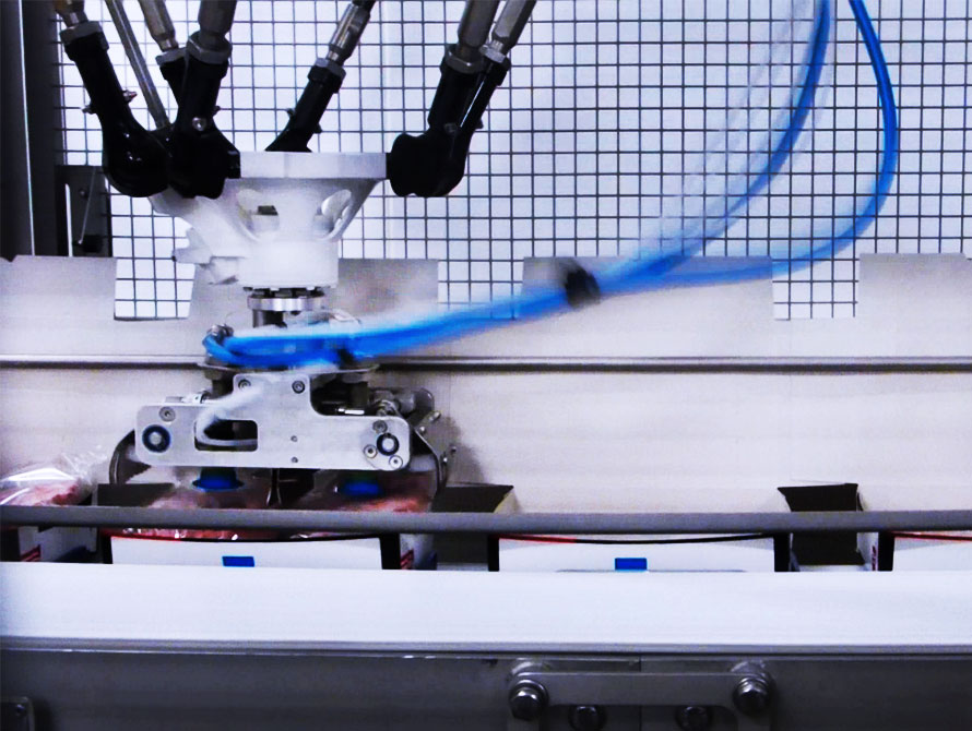 Delta robot case packer products removal