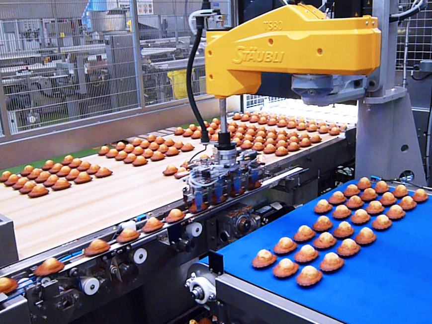 Flow pack machine loading system products