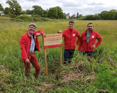 JYGA - Reforestation in Falleron