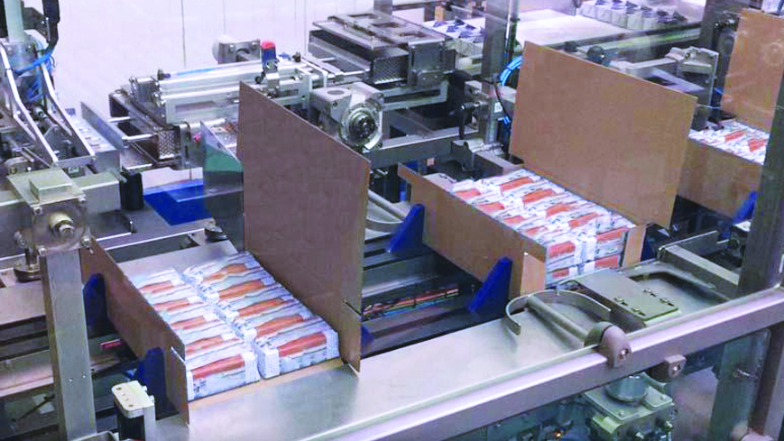 Moulded Butter Pack Case Packer