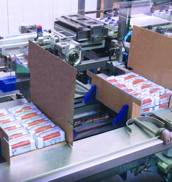 Moulded Butter Pack Case Packer thumbnail
