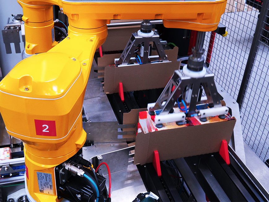 Multi format wrap around case packer cartons
