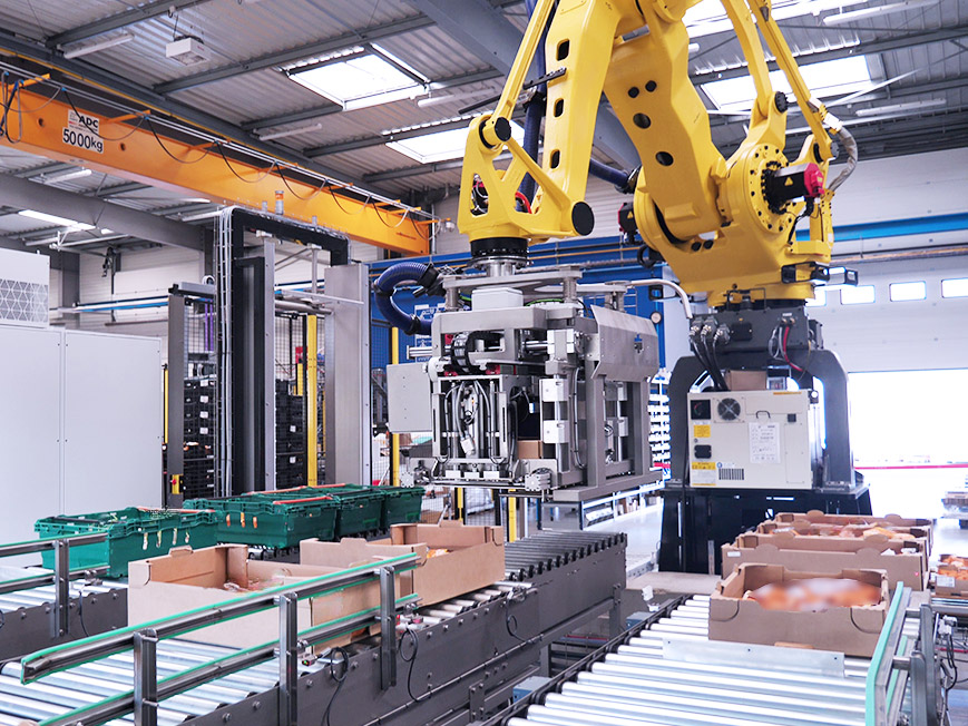 Automatic multi-line palletiser – case infeed
