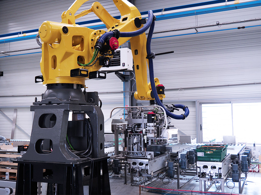Automatic multi-line palletiser – case pick-up