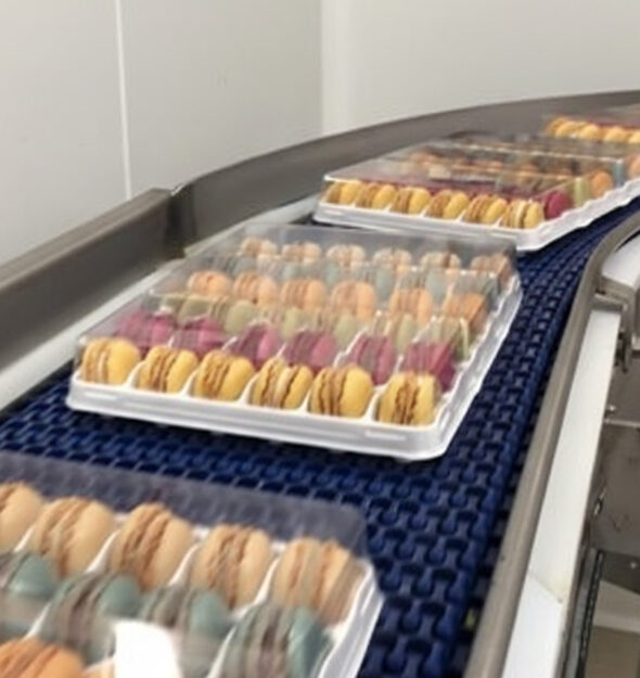 Macaron Carton Wrap-Around Case Packing thumbnail