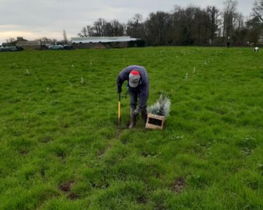 Reforestation project - Falleron - JYGA