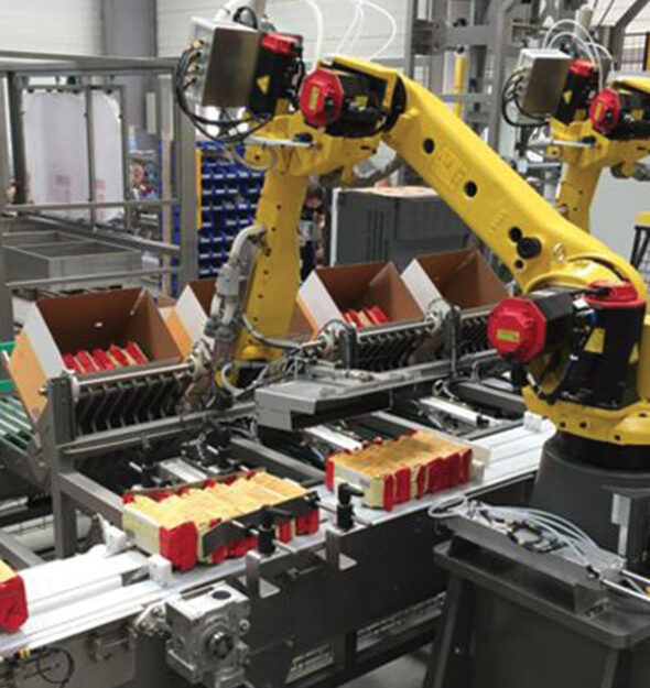 Automatic Biscuit Top-Load Case Packing thumbnail