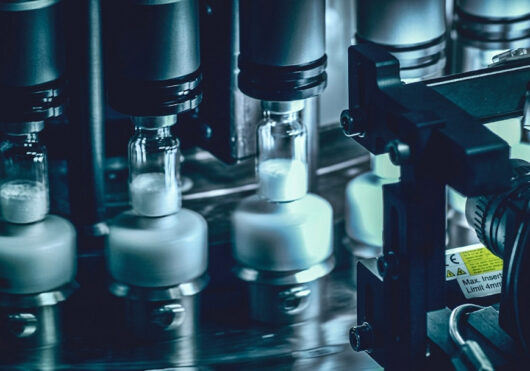 Vision inspection system in the food industry - Blog | JYGA