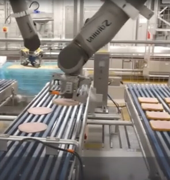 Robotic Sandwich Line Loading thumbnail