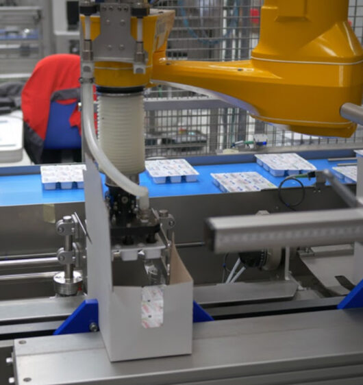 6 Best Practices for Automating a Case Packing Module