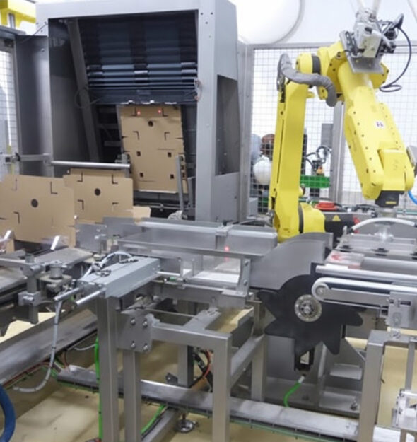 Wrap-around case packing of steak cartons | JYGA