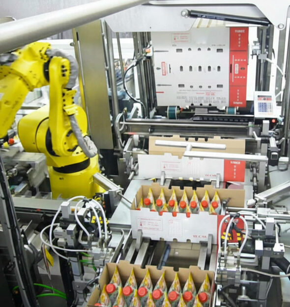 Wrap-around case packing of fresh cream pouches | JYGA