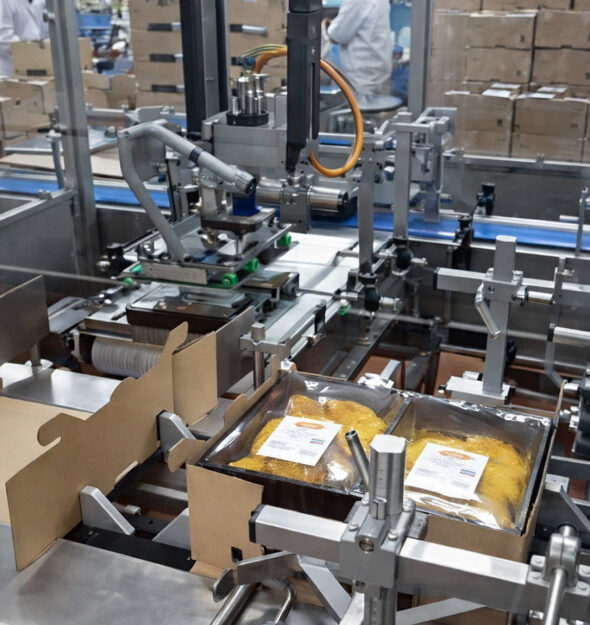 Wrap-around tray case packer | JYGA