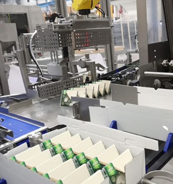 Wrap-around case packer for cheese trays and flow-wrapped cheeses | JYGA