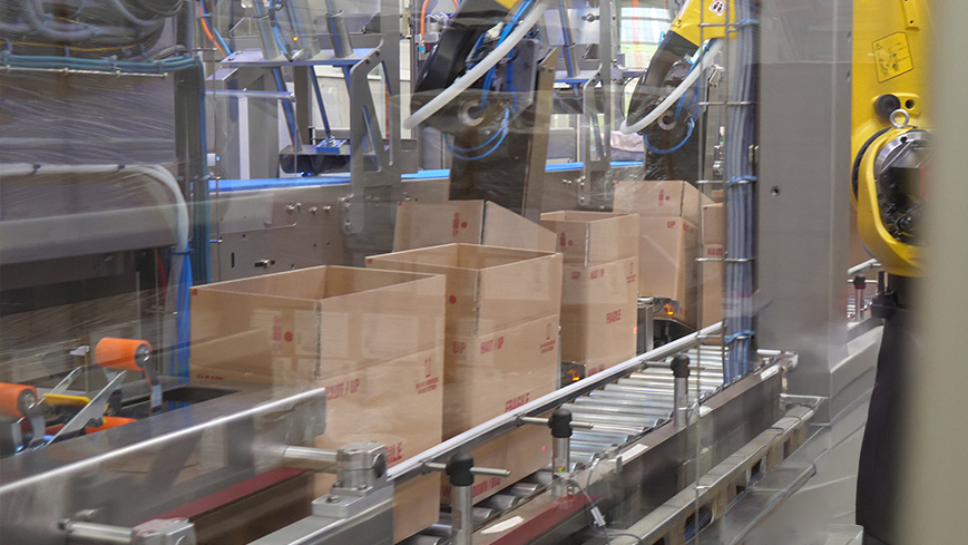 Multi-format top-load case packer – pouch placement