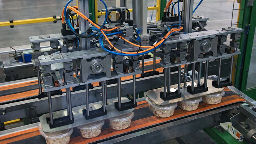 Fleury Michon Automates Product Case Packing