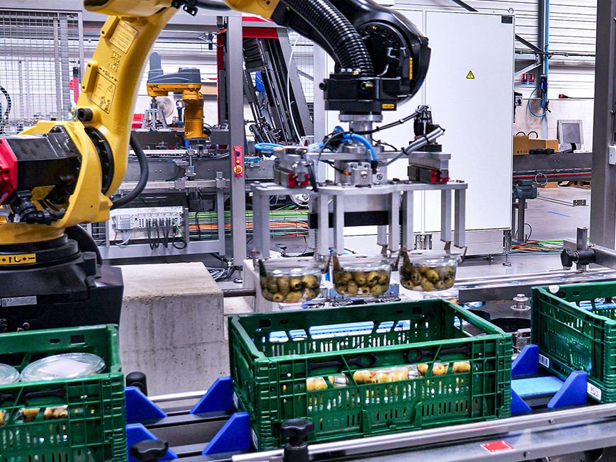 Wrap around case packer for trays products into