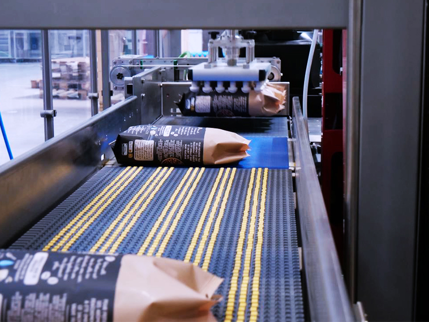 Wrap around case packer for trays with ledge products