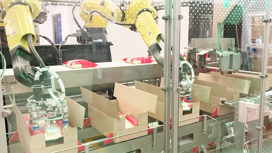 Wrap around case packer wrap around cases products inside