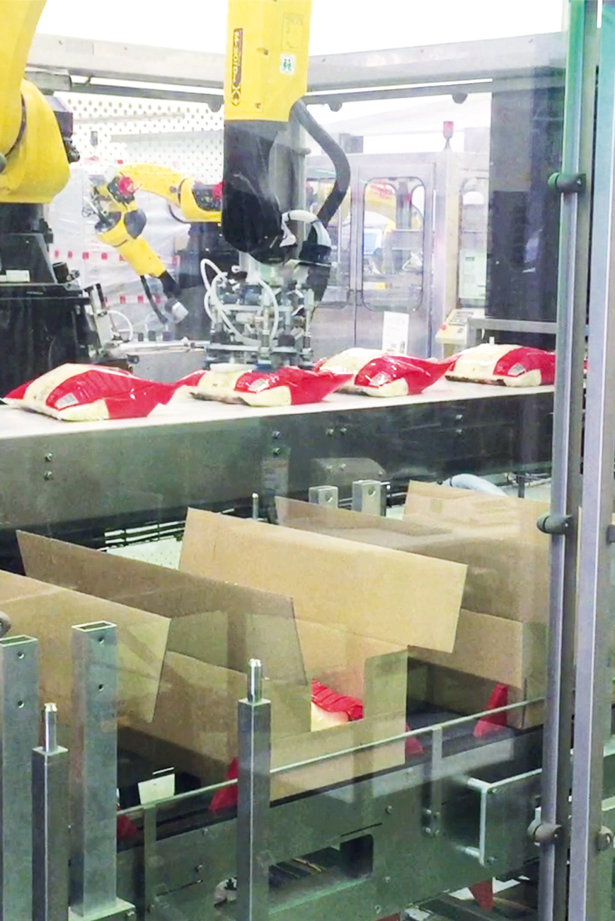 Wrap around case packer wrap around cases products intake